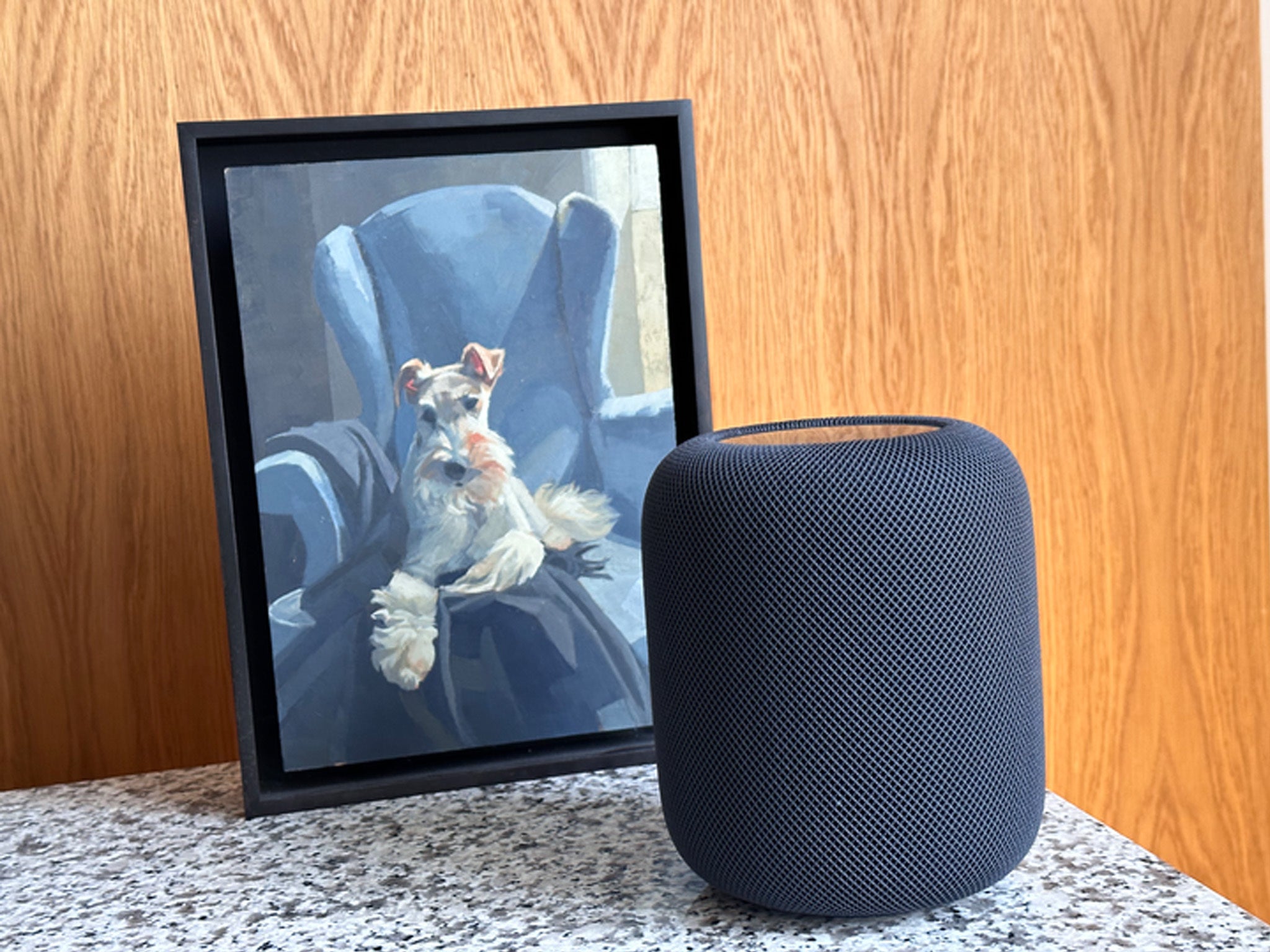 Original Homepod Black FOR PARTS good